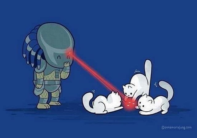 page,6,top 450 funny pics of the year 2015.html - 1 HD Photos | Premium Gallery 2015