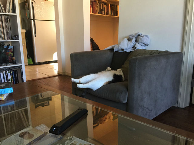 morning picdump 51 pics 19.html - 51 HD Photos | Premium Gallery 2015
