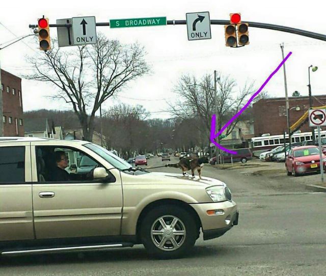 morning picdump 51 pics 19.html - 51 HD Photos | Premium Gallery 2015