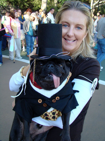 Morning Picdump