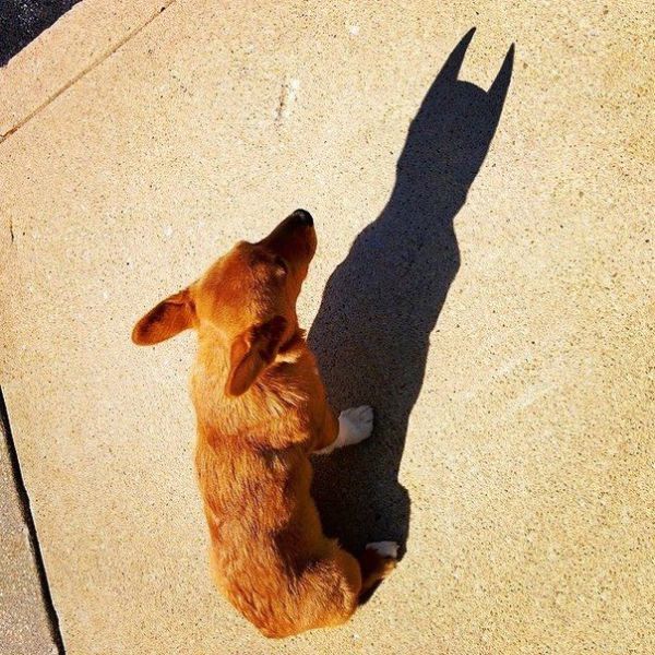 morning picdump 52 pics 3.html - 52 HD Photos | Premium Gallery 2015