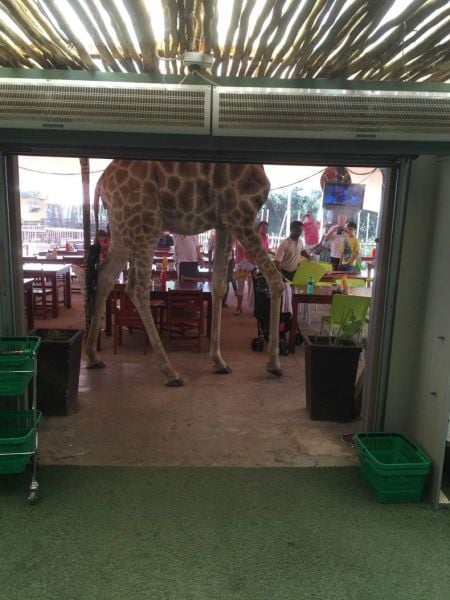 daily picdump 93 pics 1.html - 93 HD Photos | Premium Gallery 2015