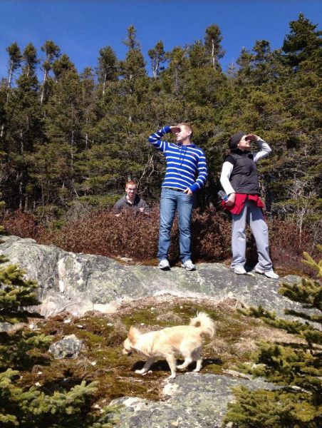 daily picdump 93 pics 1.html - 93 HD Photos | Premium Gallery 2015