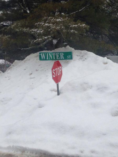 daily picdump 93 pics 1.html - 93 HD Photos | Premium Gallery 2015