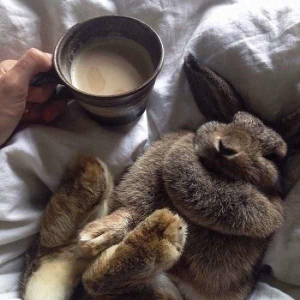 daily picdump 93 pics 1.html - 93 HD Photos | Premium Gallery 2015