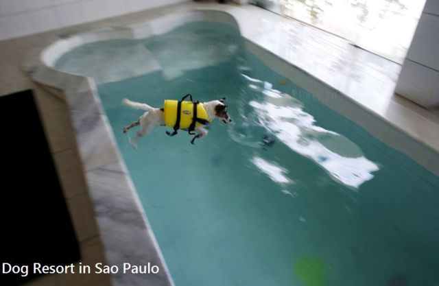 daily picdump 93 pics 1.html - 93 HD Photos | Premium Gallery 2015