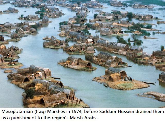 daily picdump 93 pics 1.html - 93 HD Photos | Premium Gallery 2015