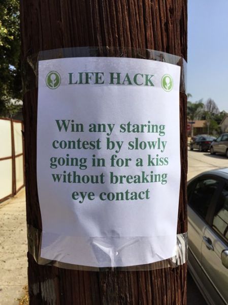 Morning Picdump