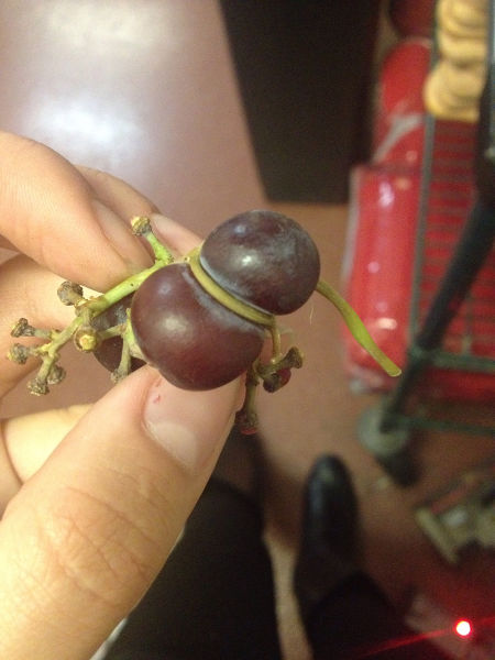 morning picdump 54 pics 2.html - 54 HD Photos | Premium Gallery 2015