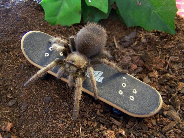 morning picdump 54 pics 2.html - 54 HD Photos | Premium Gallery 2015