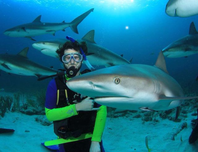 morning picdump 54 pics 2.html - 54 HD Photos | Premium Gallery 2015