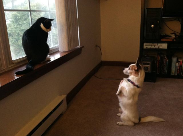 morning picdump 51 pics 20.html - 51 HD Photos | Premium Gallery 2015