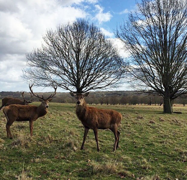 morning picdump 51 pics 20.html - 51 HD Photos | Premium Gallery 2015