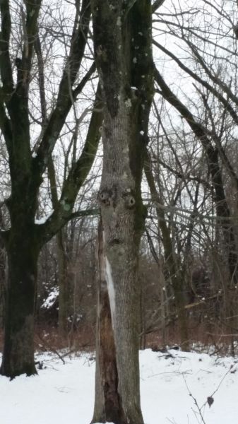 morning picdump 51 pics 20.html - 51 HD Photos | Premium Gallery 2015