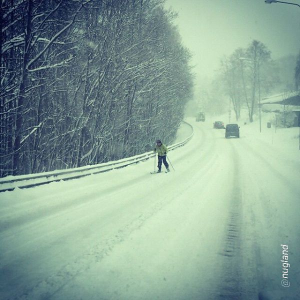 morning picdump 51 pics 20.html - 51 HD Photos | Premium Gallery 2015