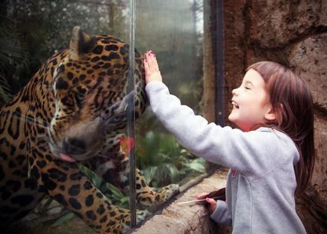 page,47,top 1500 daily pics of the year 2015.html - 1 HD Photos | Premium Gallery 2015