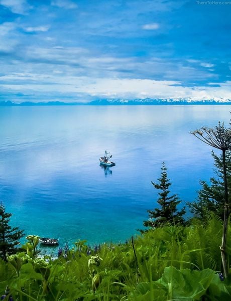 page,47,top 1500 daily pics of the year 2015.html - 1 HD Photos | Premium Gallery 2015