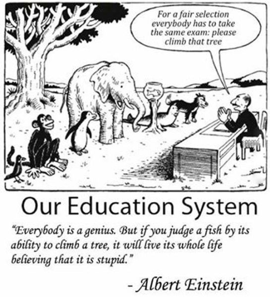 page,6,top 450 funny pics of the year 2015.html - 1 HD Photos | Premium Gallery 2015