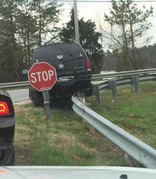 daily picdump 97 pics 48.html - 97 HD Photos | Premium Gallery 2015