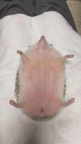 daily picdump 97 pics 48.html - 97 HD Photos | Premium Gallery 2015