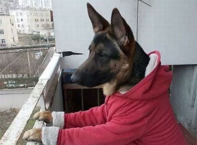 daily picdump 97 pics 48.html - 97 HD Photos | Premium Gallery 2015