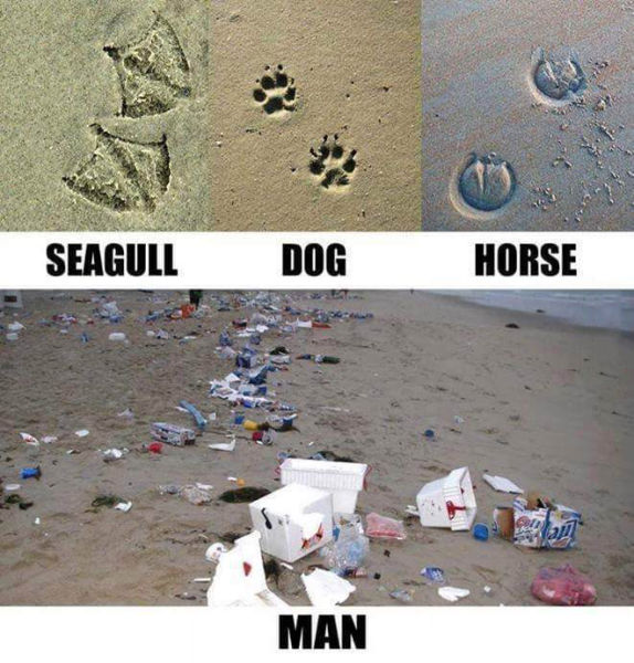 page,6,top 450 funny pics of the year 2015.html - 1 HD Photos | Premium Gallery 2015