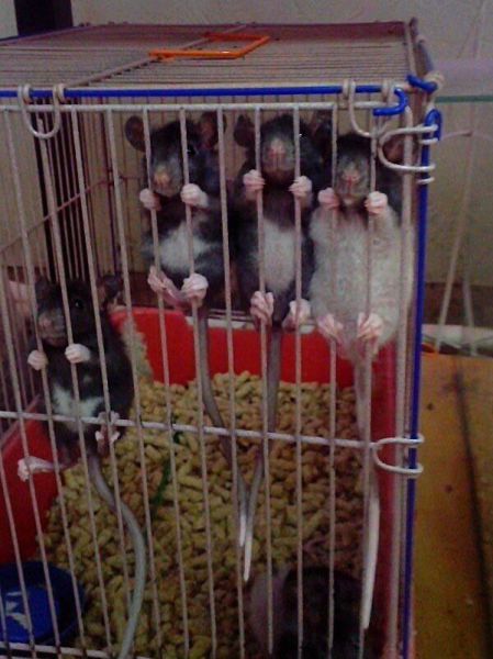 page,4,top 1500 daily pics of the year 2015.html - 1 HD Photos | Premium Gallery 2015