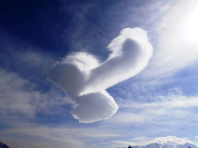 funny picdump 51 pics 24.html - 51 HD Photos | Premium Gallery 2015