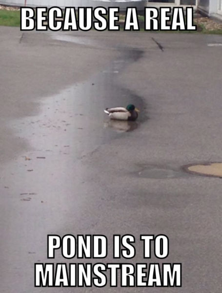 funny picdump 51 pics 24.html - 51 HD Photos | Premium Gallery 2015