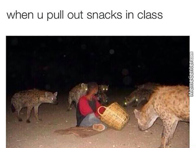 funny picdump 51 pics 24.html - 51 HD Photos | Premium Gallery 2015