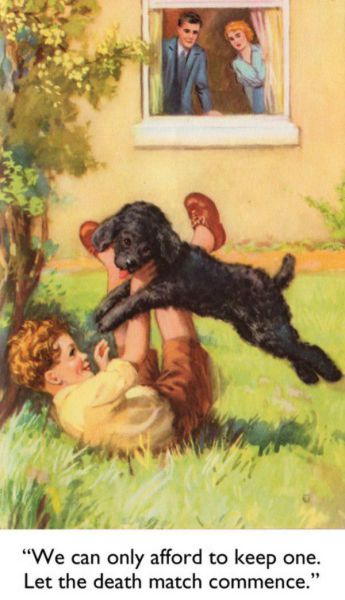 funny picdump 51 pics 24.html - 51 HD Photos | Premium Gallery 2015