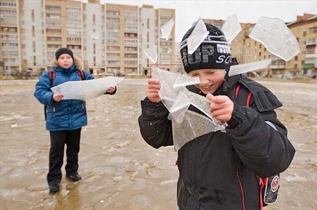 funny picdump 51 pics 24.html - 51 HD Photos | Premium Gallery 2015