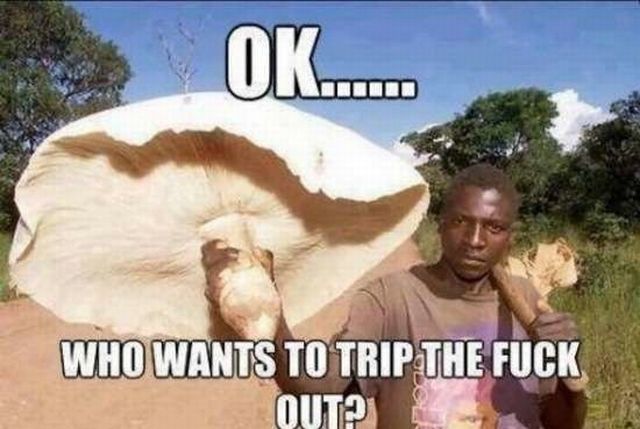 funny picdump 51 pics 24.html - 51 HD Photos | Premium Gallery 2015