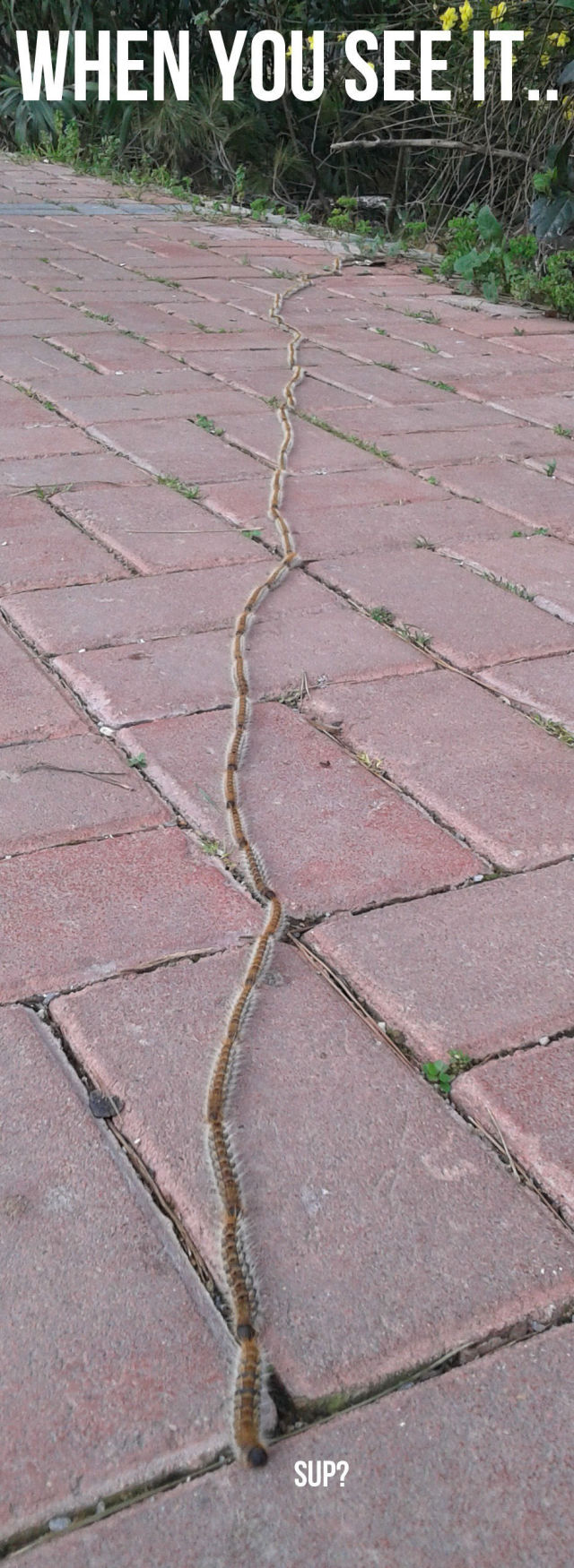 funny picdump 51 pics 24.html - 51 HD Photos | Premium Gallery 2015