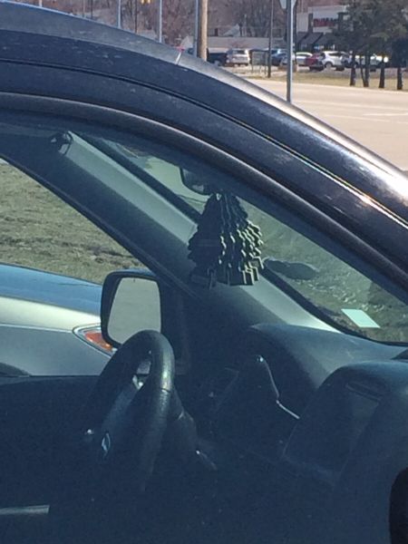 Morning Picdump
