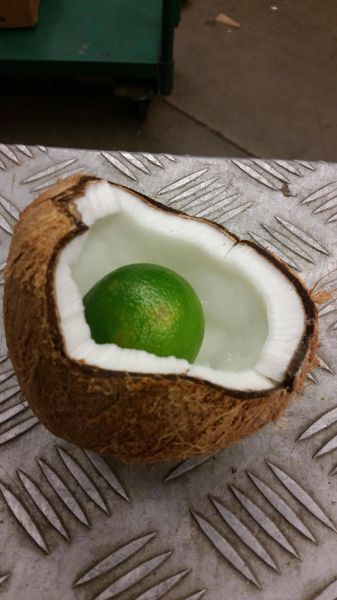 morning picdump 52 pics 2.html - 52 HD Photos | Premium Gallery 2015