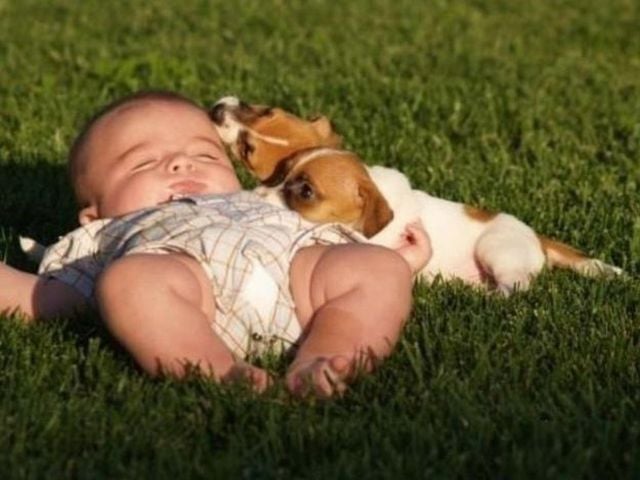 daily picdump 102 pics 72.html - 102 HD Photos | Premium Gallery 2015