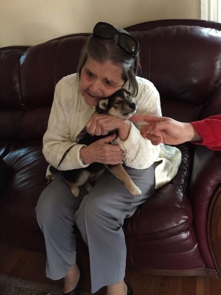 daily picdump 102 pics 72.html - 102 HD Photos | Premium Gallery 2015