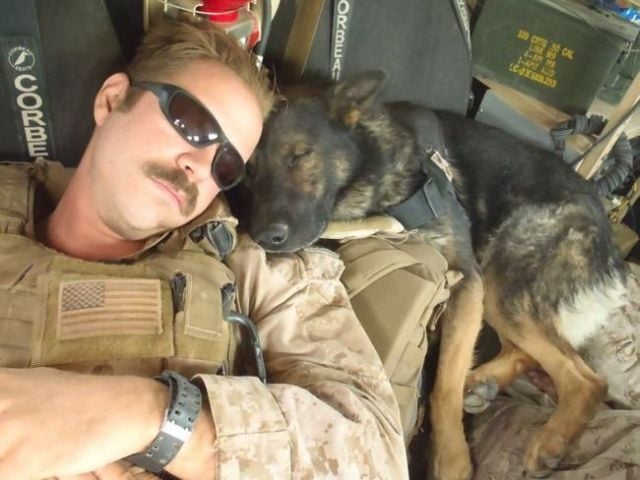 daily picdump 102 pics 72.html - 102 HD Photos | Premium Gallery 2015