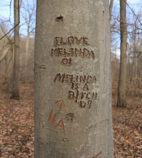 daily picdump 102 pics 72.html - 102 HD Photos | Premium Gallery 2015