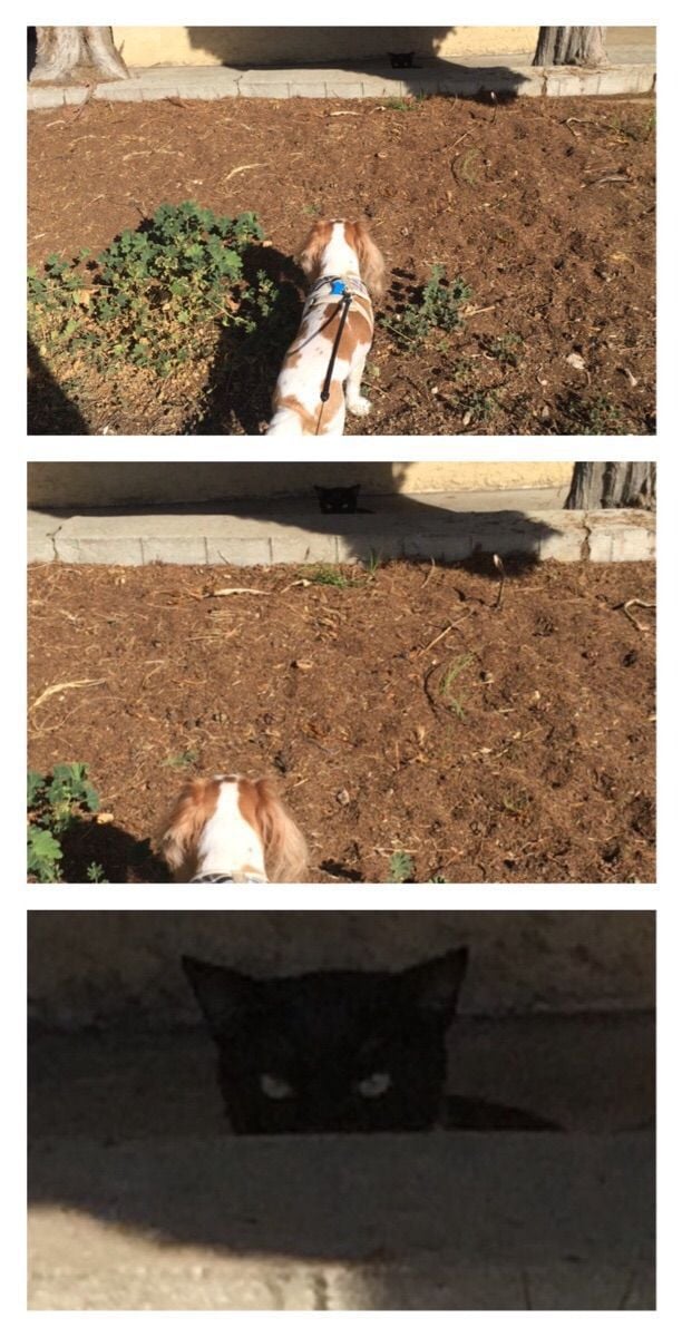 daily picdump 102 pics 72.html - 102 HD Photos | Premium Gallery 2015