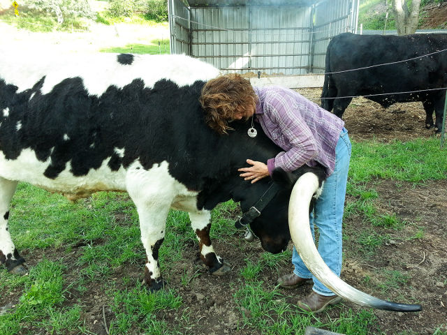 morning picdump 54 pics 7.html - 54 HD Photos | Premium Gallery 2015