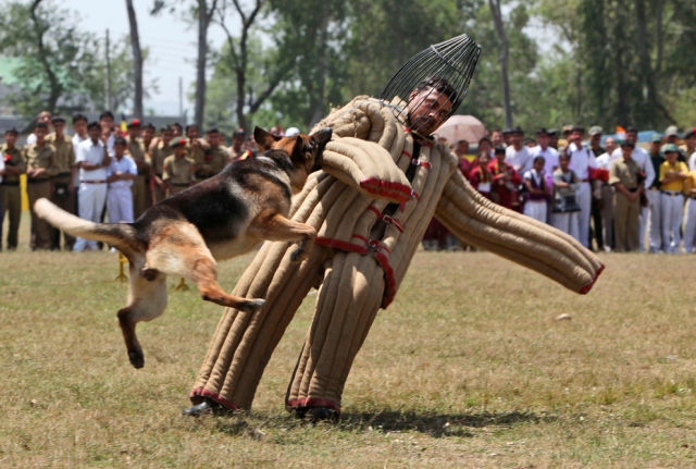 morning picdump 54 pics 7.html - 54 HD Photos | Premium Gallery 2015