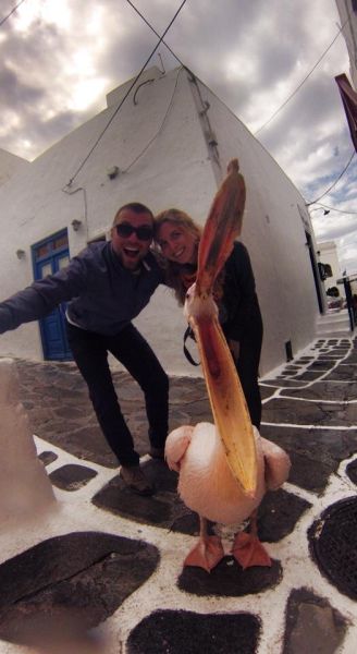 morning picdump 54 pics 7.html - 54 HD Photos | Premium Gallery 2015