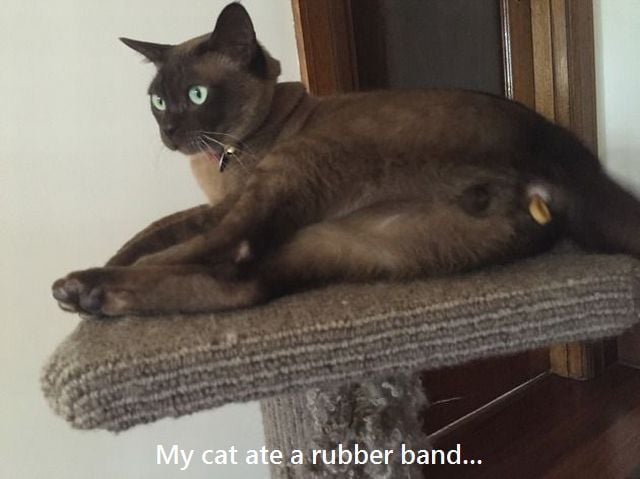 page,19,top 1500 daily pics of the year 2015.html - 1 HD Photos | Premium Gallery 2015