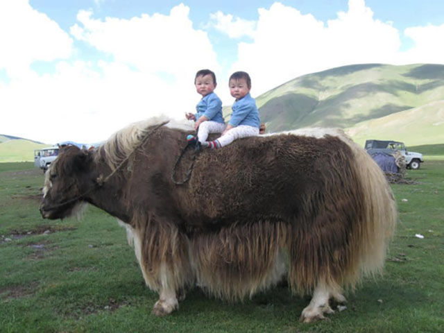 morning picdump 53 pics 5.html - 53 HD Photos | Premium Gallery 2015