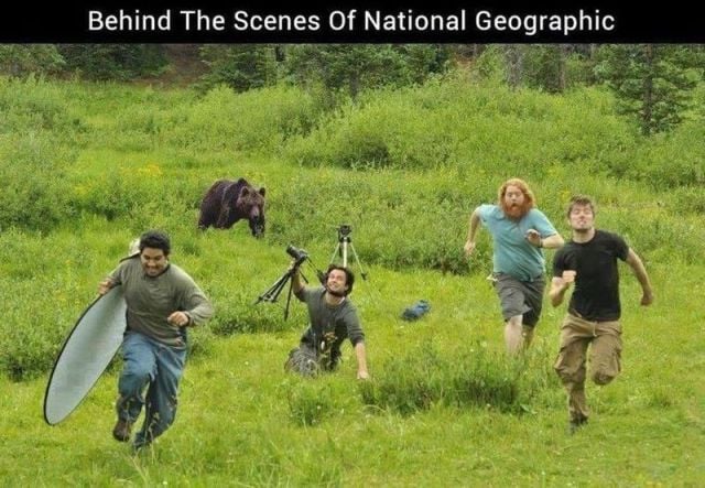 page,26,top 1500 daily pics of the year 2015.html - 1 HD Photos | Premium Gallery 2015