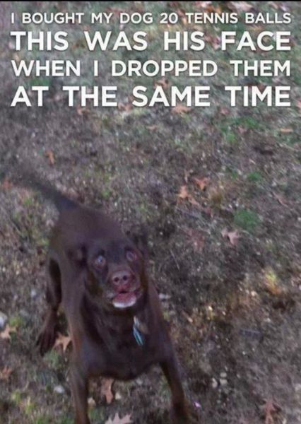 Examples of Excitement Overload