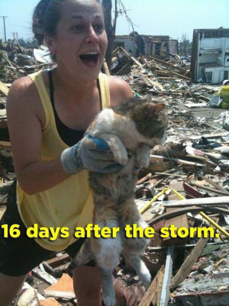 Examples of Excitement Overload