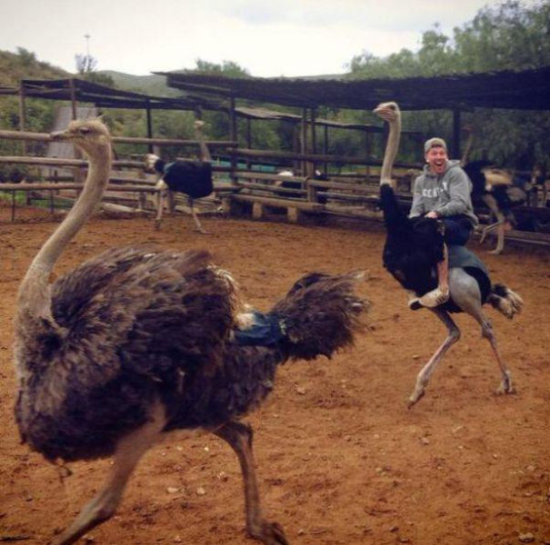 Examples of Excitement Overload